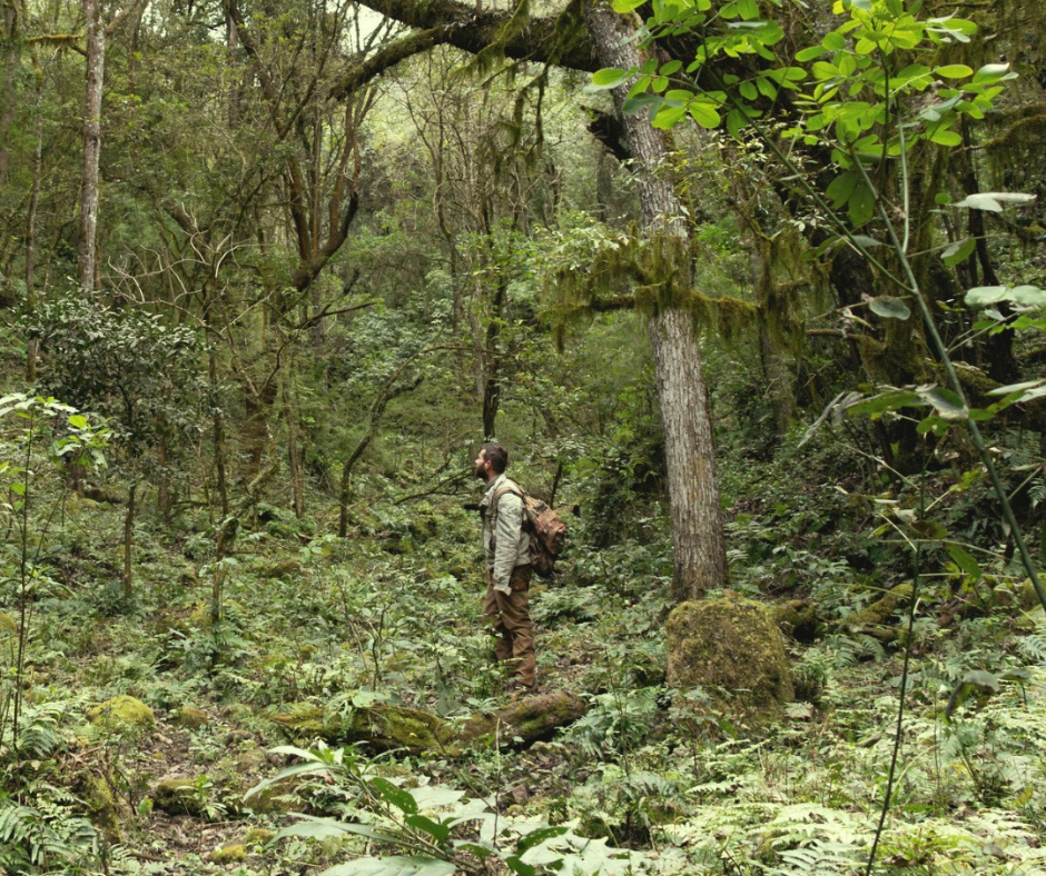 PAQUETE TREKKING — 2 NOCHES