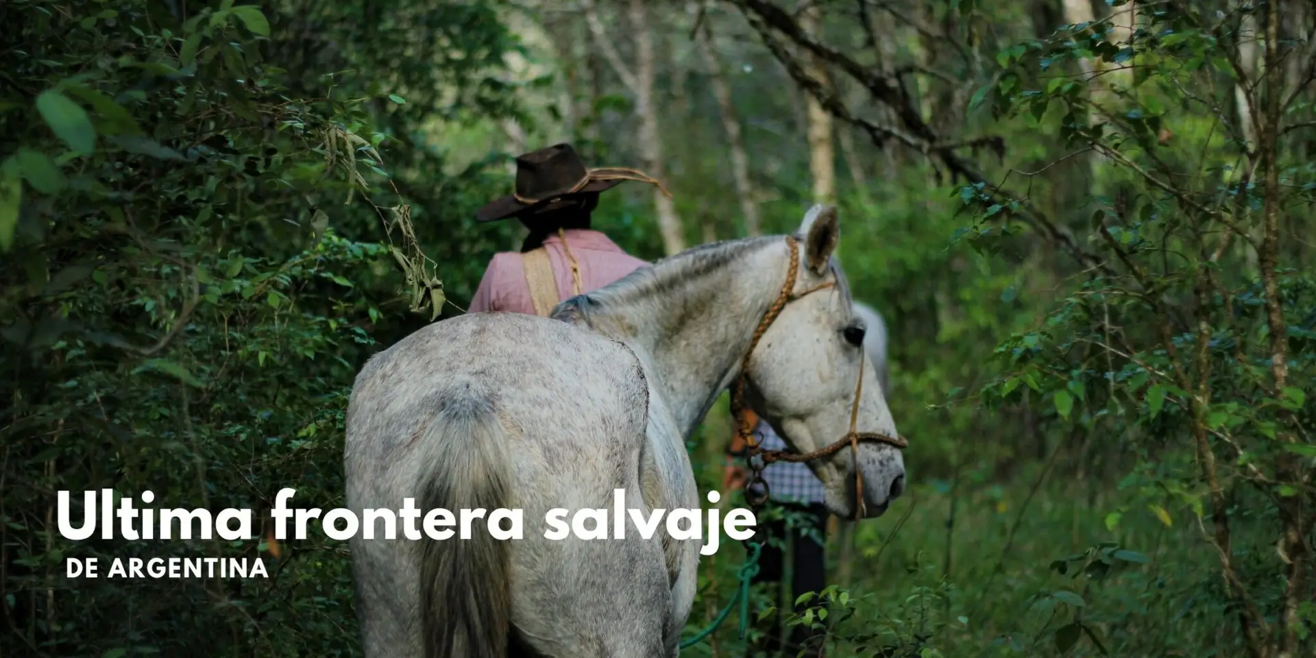 gaucho yungas jujuy