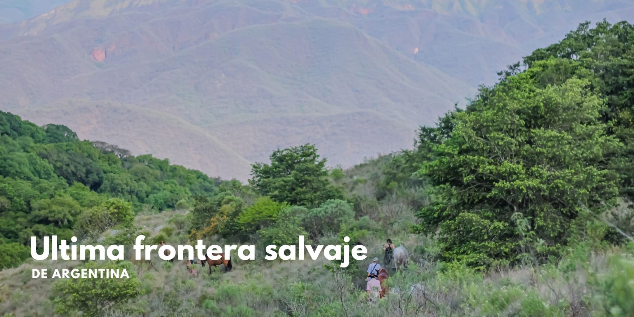 yungas horse ride