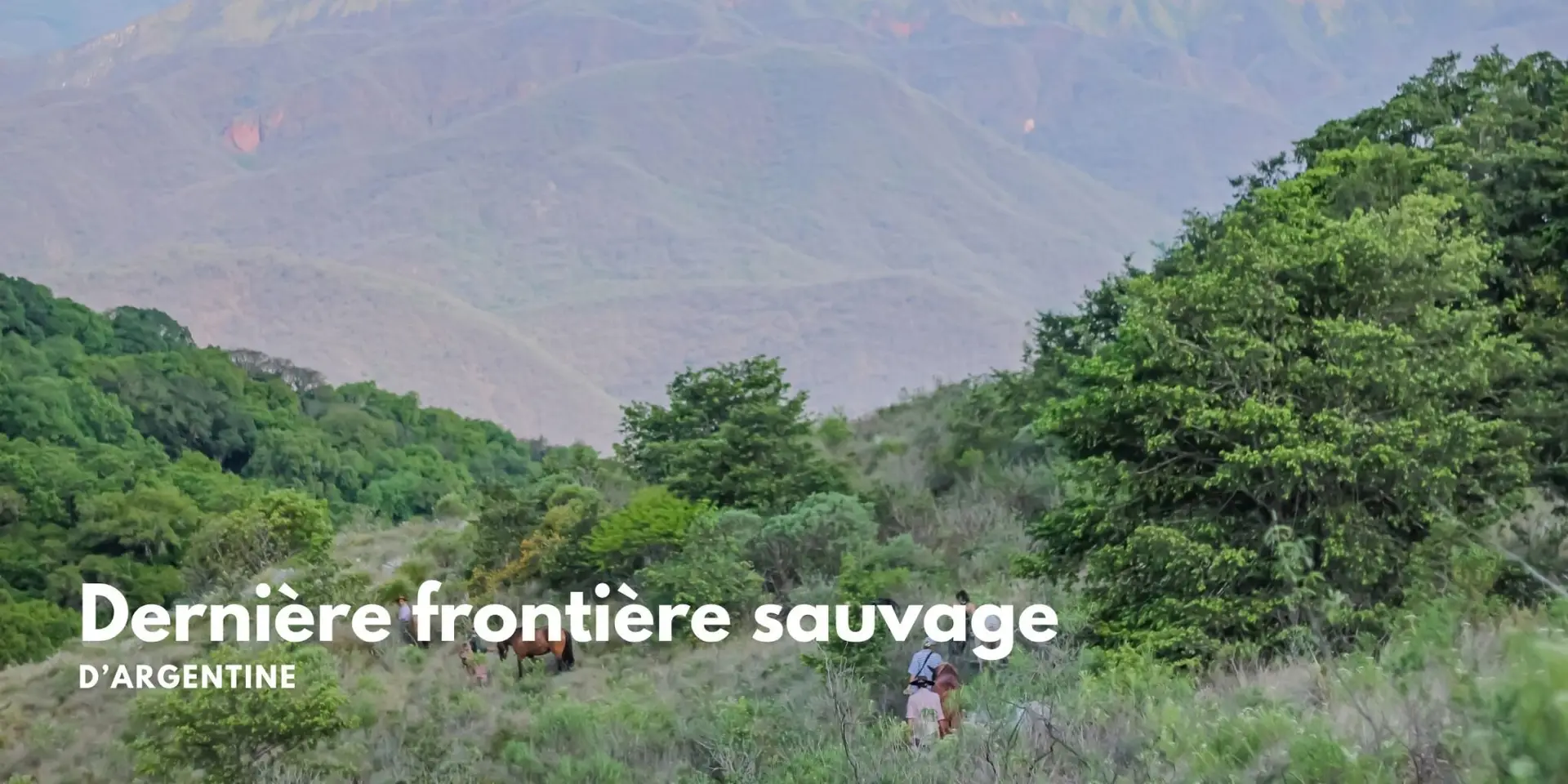 yungas horse ride
