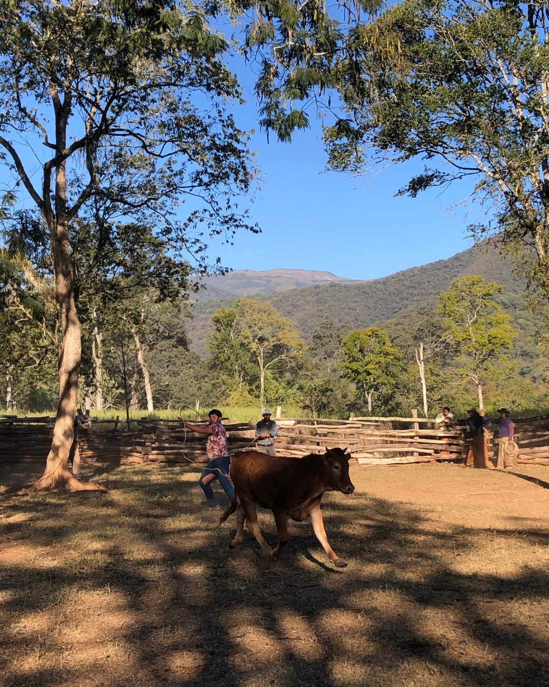 Culture gauchesque Las Yungas