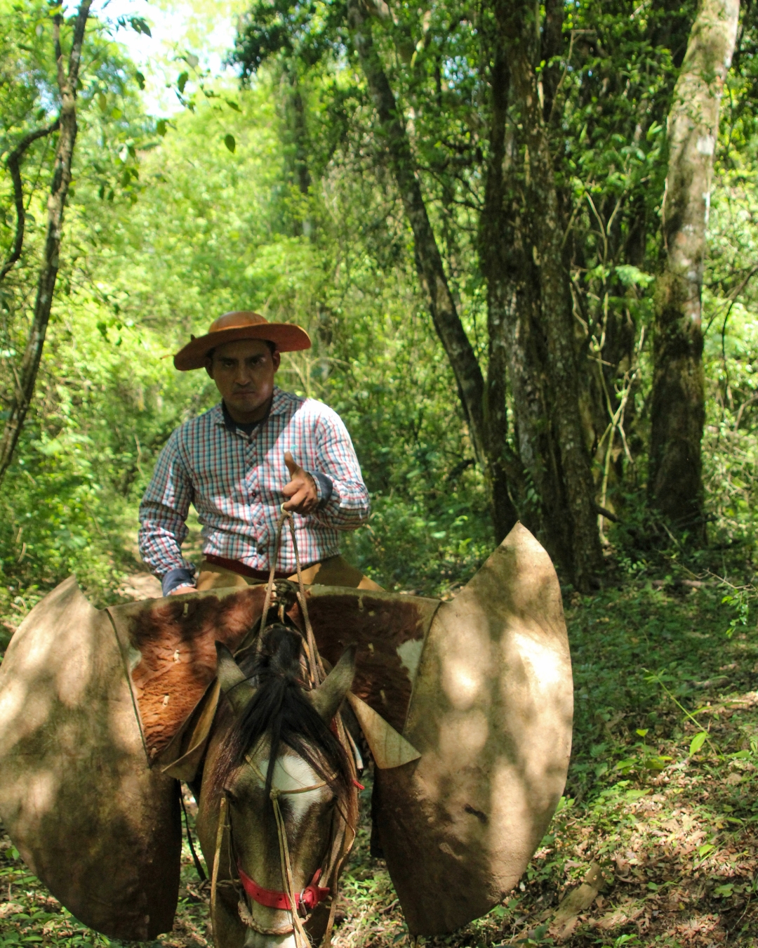 Culture gauchesque Las Yungas