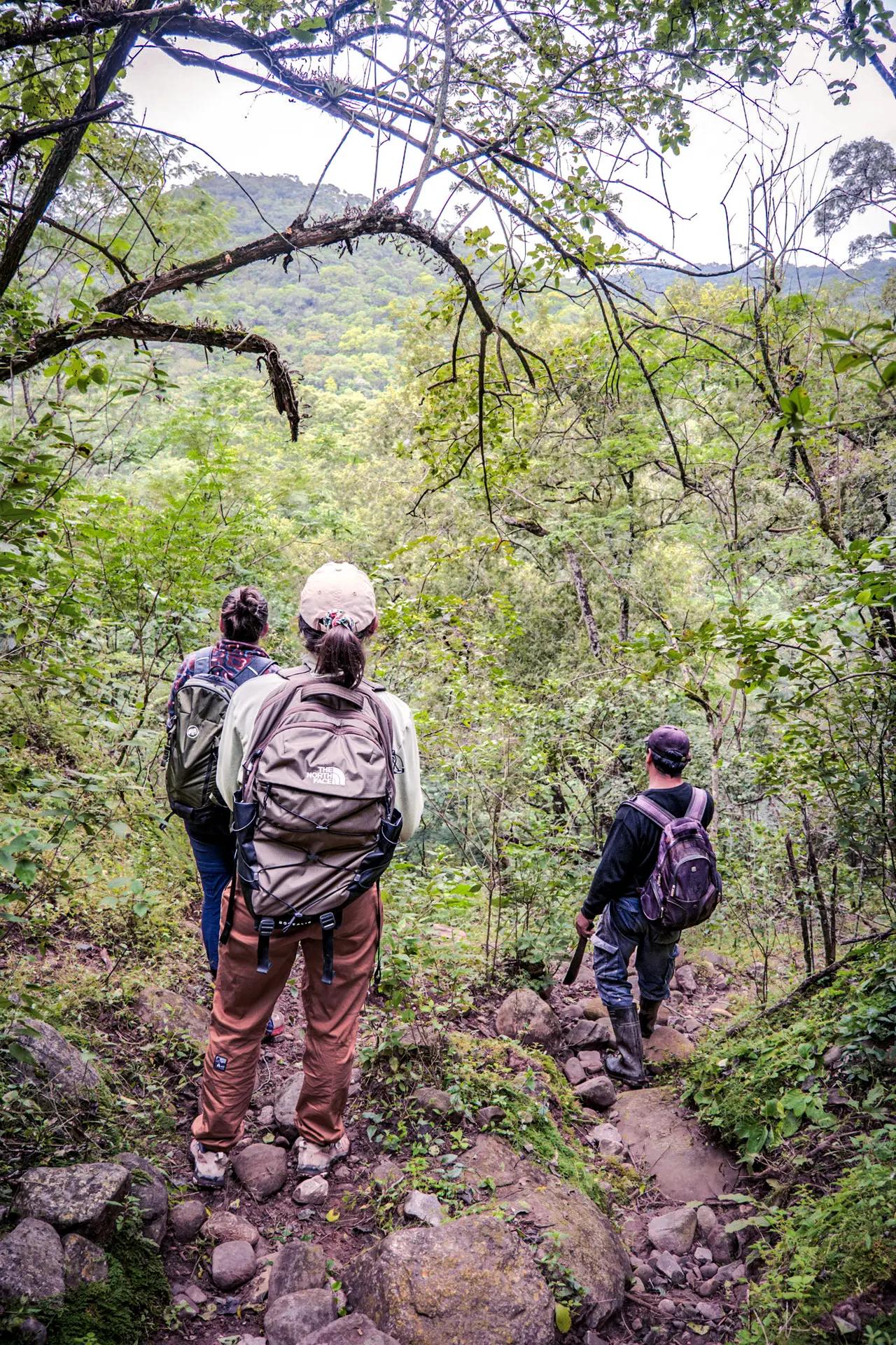 Hiking