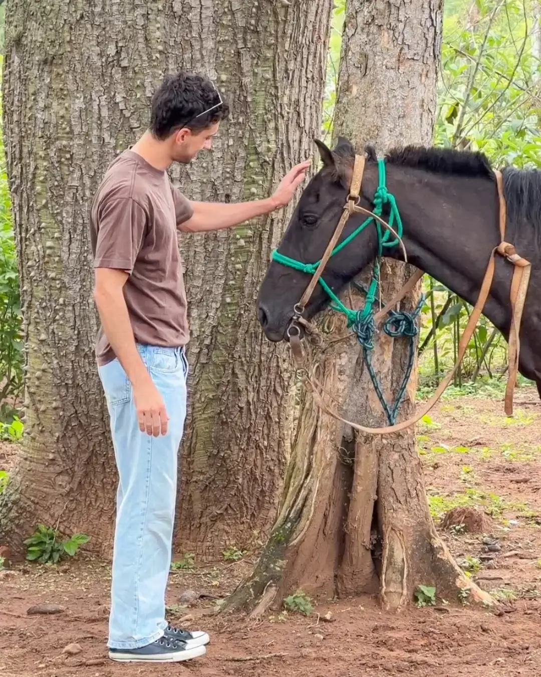 Cabalgata Las Yungas Finca La Fé