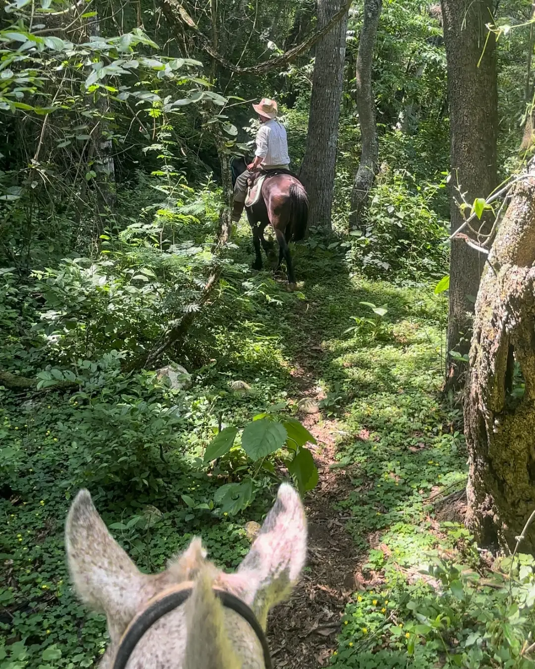 Cabalgata Las Yungas Finca La Fé