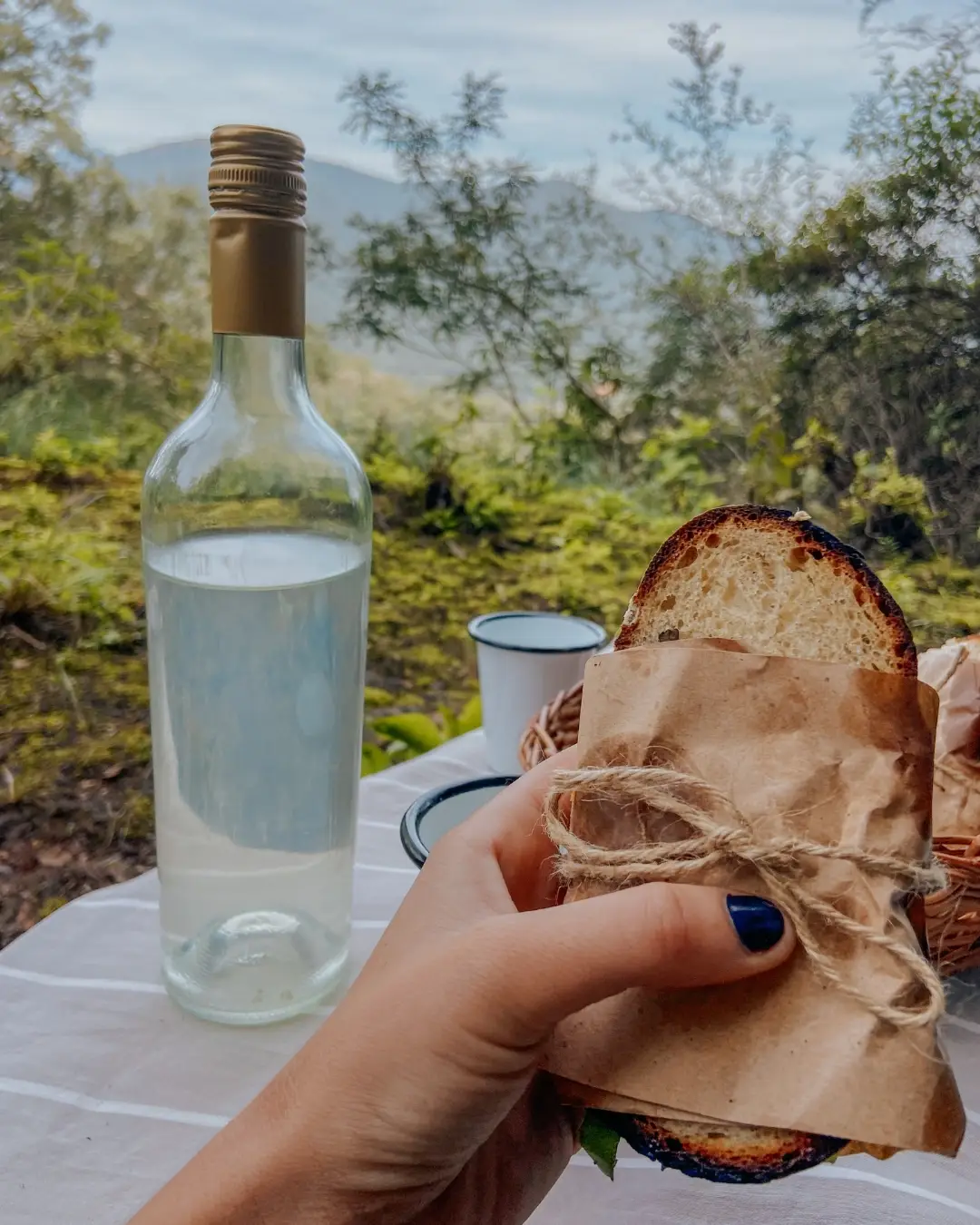 Picnic
