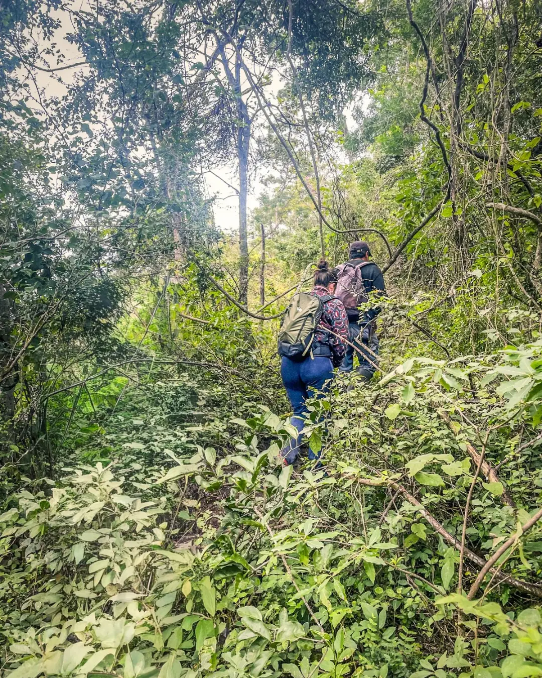 Trekking Las Yungas Finca La Fé