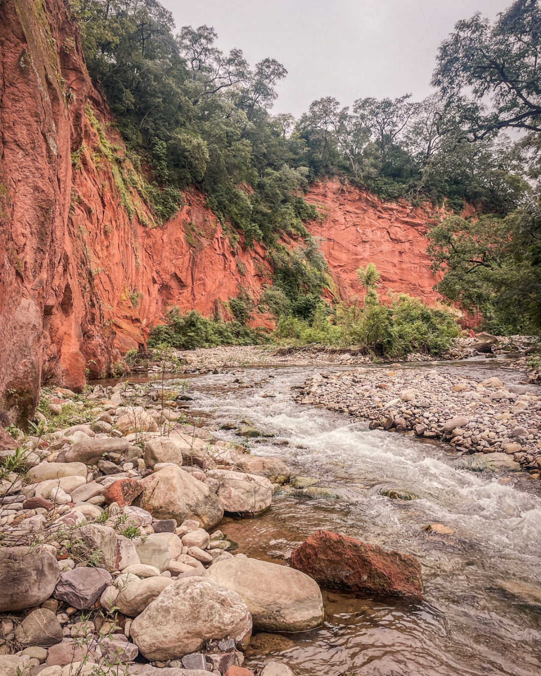 Inmersión Yungas