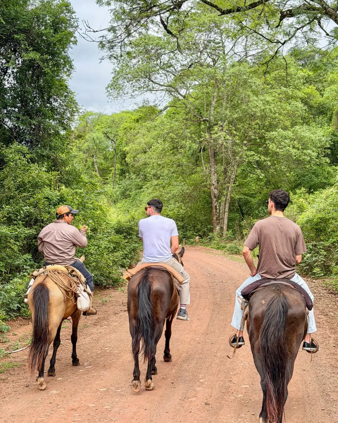 Cabalgata 1h